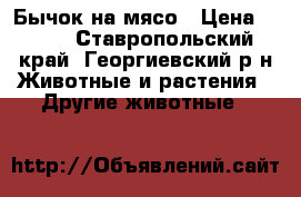 Бычок на мясо › Цена ­ 130 - Ставропольский край, Георгиевский р-н Животные и растения » Другие животные   